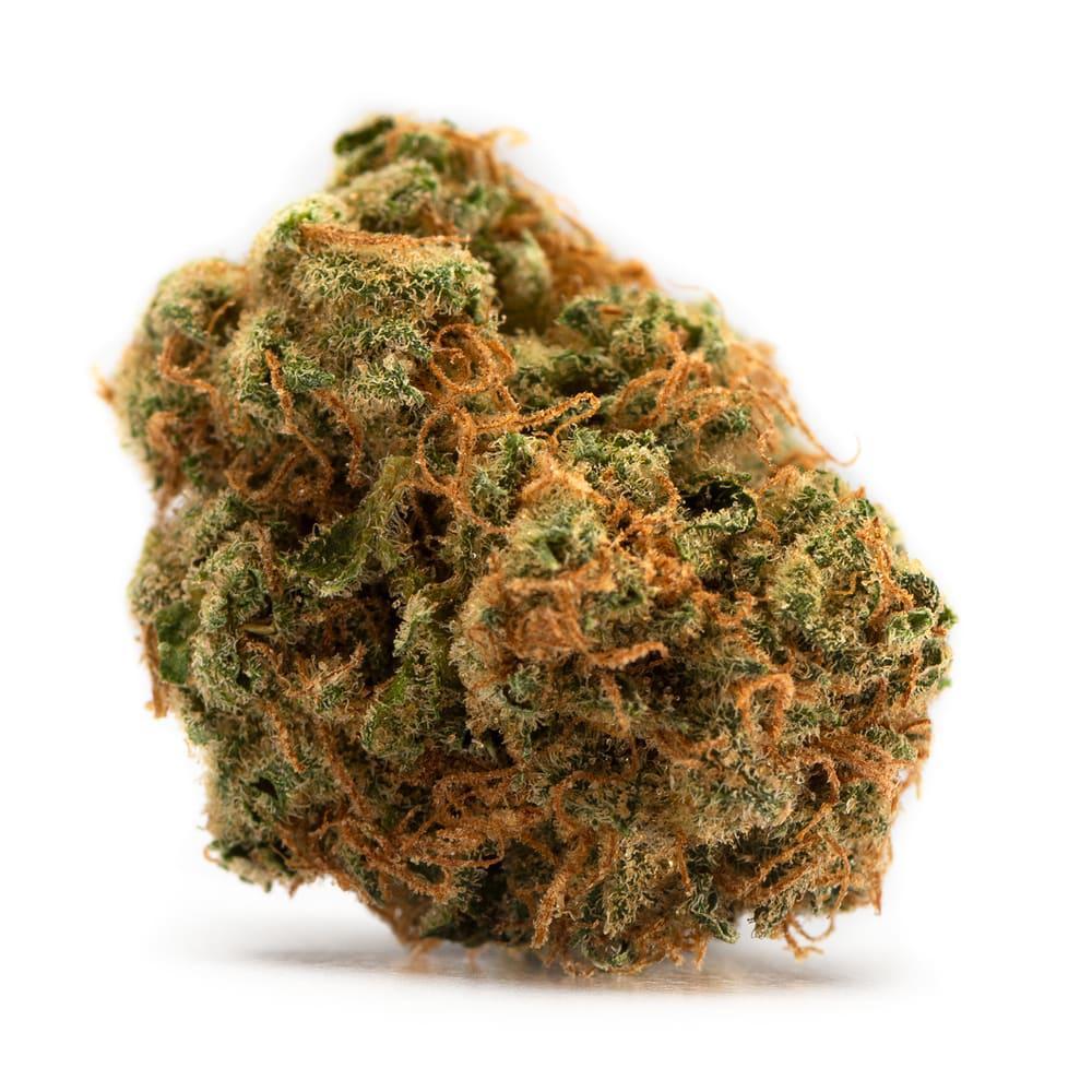 Bakerstreet (Hindu Kush)